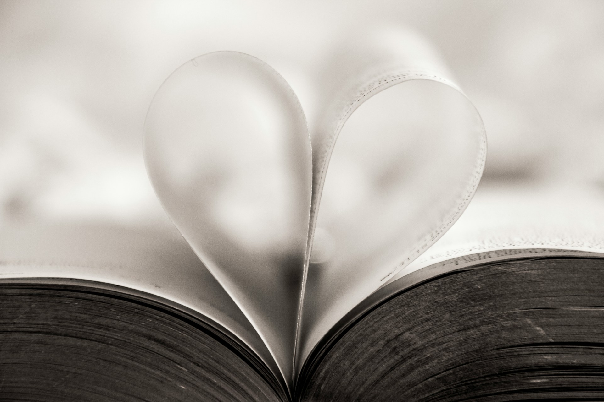 What Is Love?